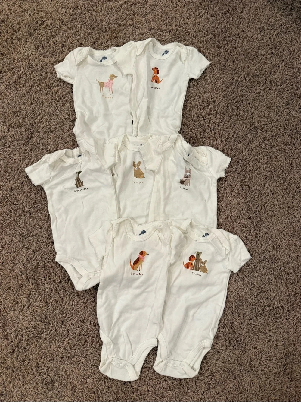 Little Me Baby Dog Days of the Week Bodysuits – 7 Piece Set